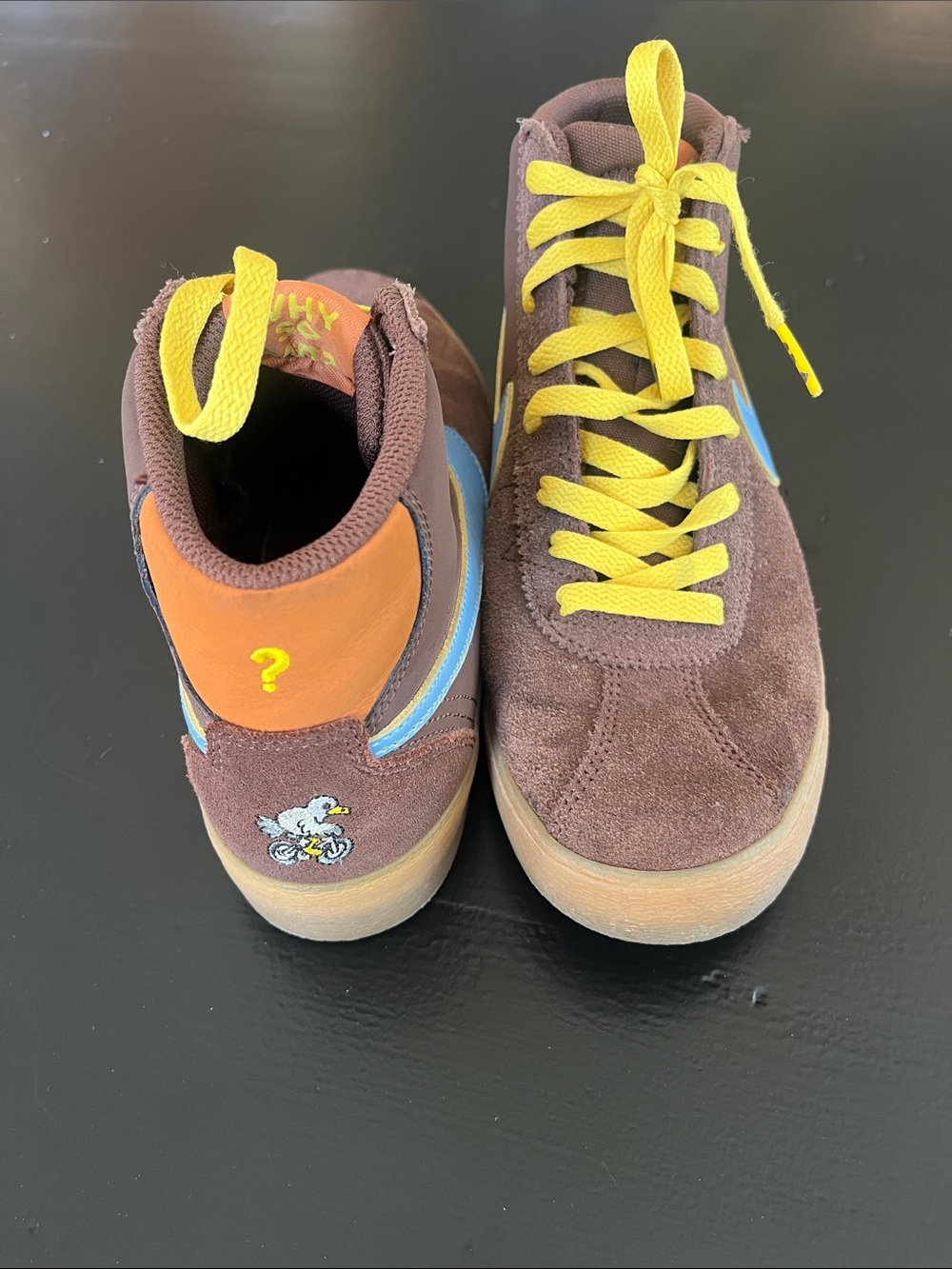 Nike SB brown Why so Sad women’s hightops